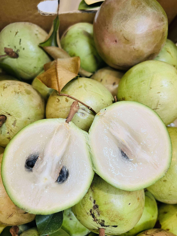 Vú sữa hột gà 1 kg 25$