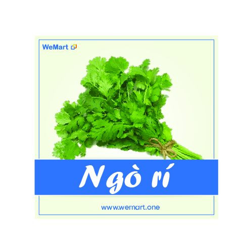 Ngò rí