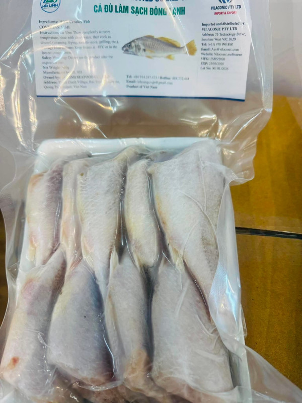 Cá đù làm sạch đông lạnh