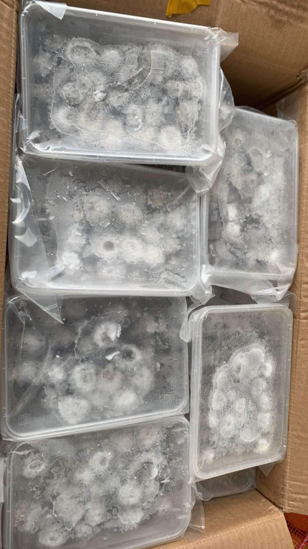 Nấm rơm xào hành 18$