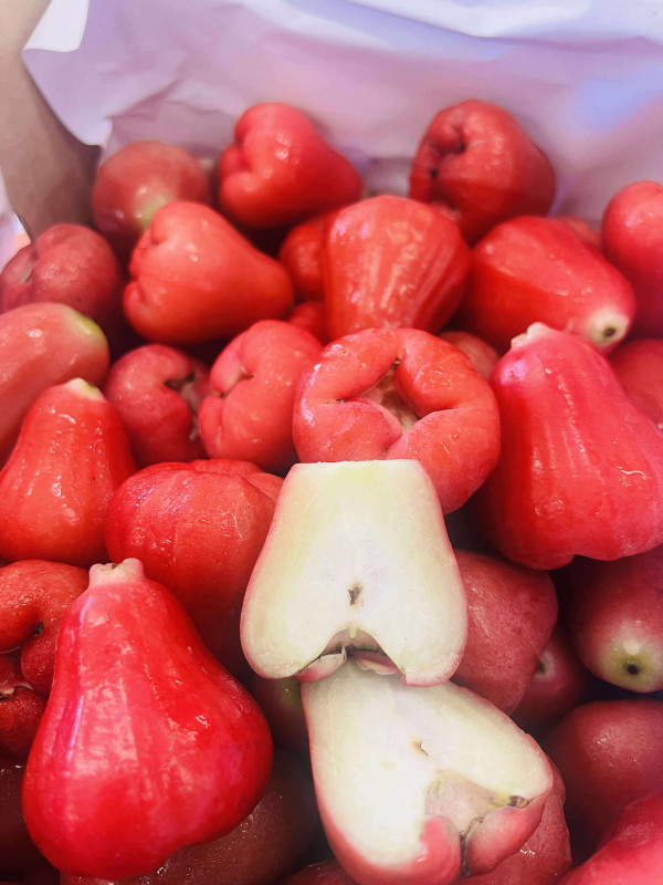 Mận Ấn Độ 70$