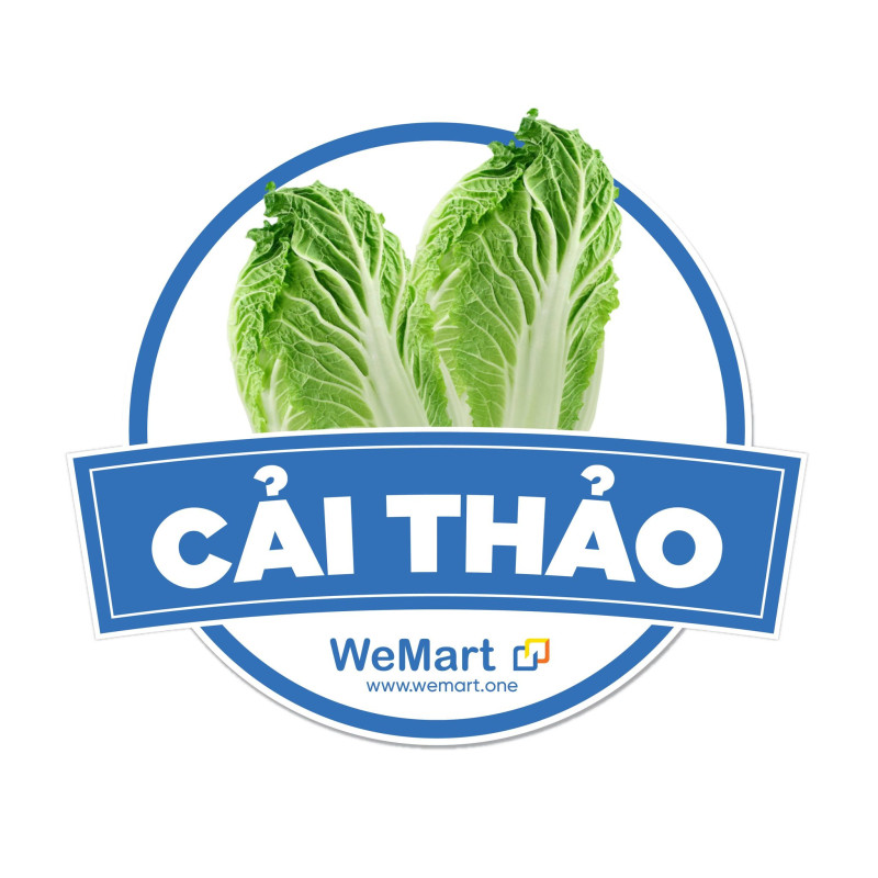 Cải thảo