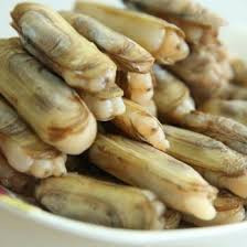 ốc móng tay nguyên vỏ