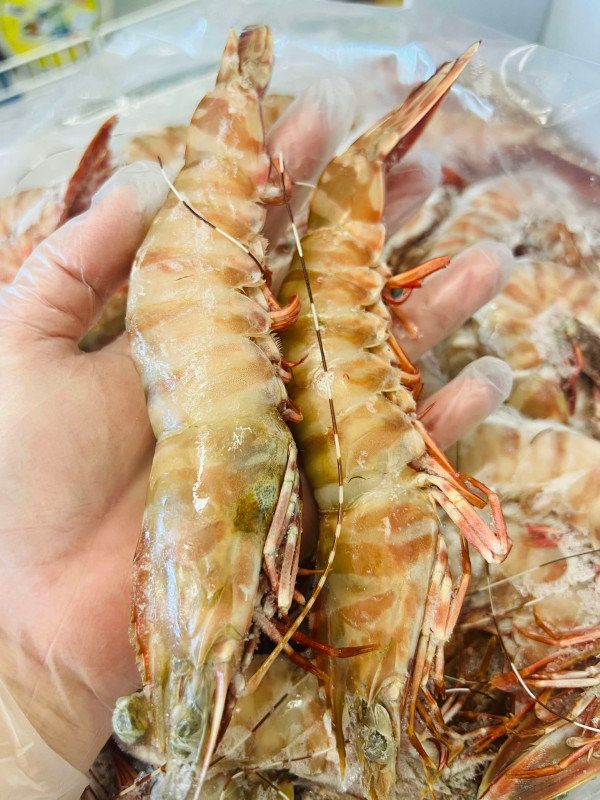 Tôm Green Tiger Prawn U/10 150$ 1 thùng