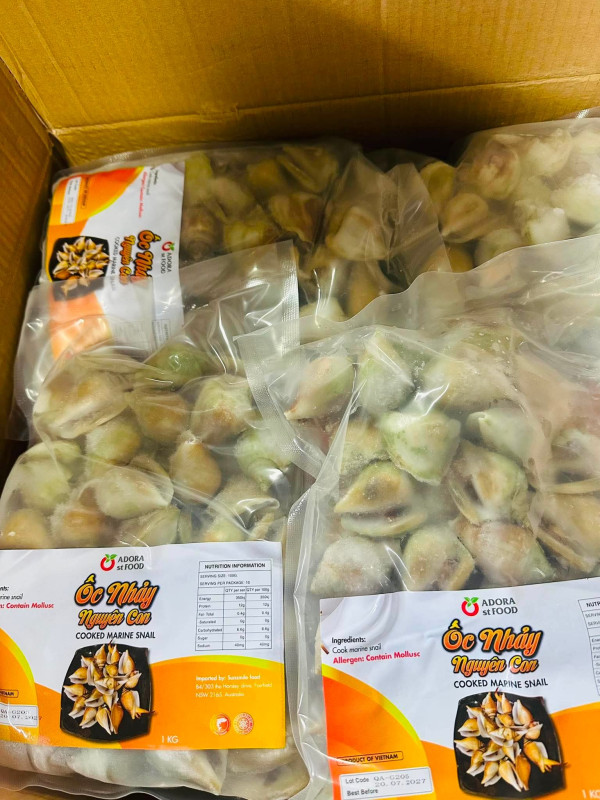 Ốc nhảy con bự