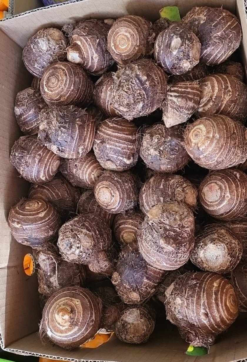 Khoai sọ 1kg