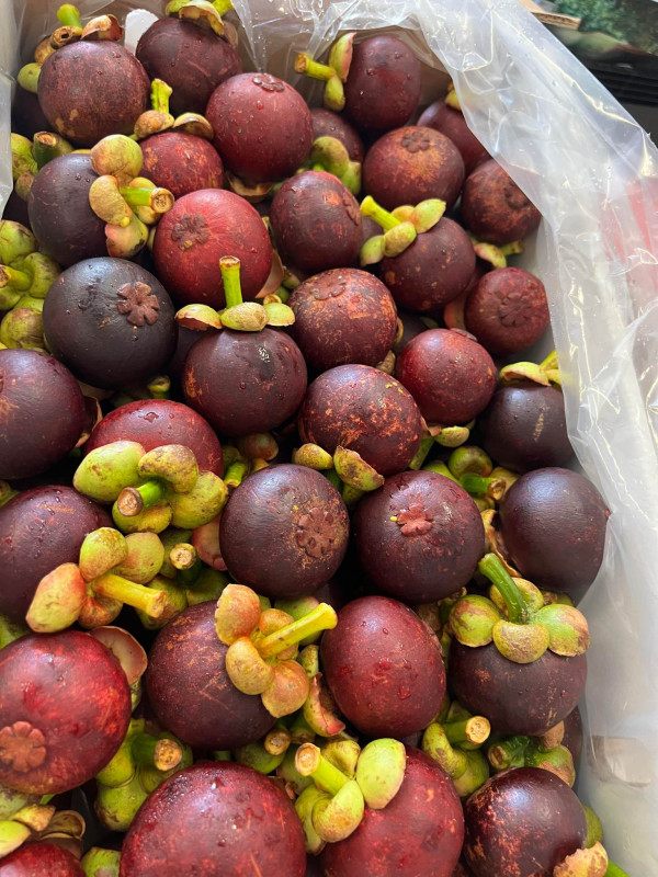 Măng cụt kg 28$