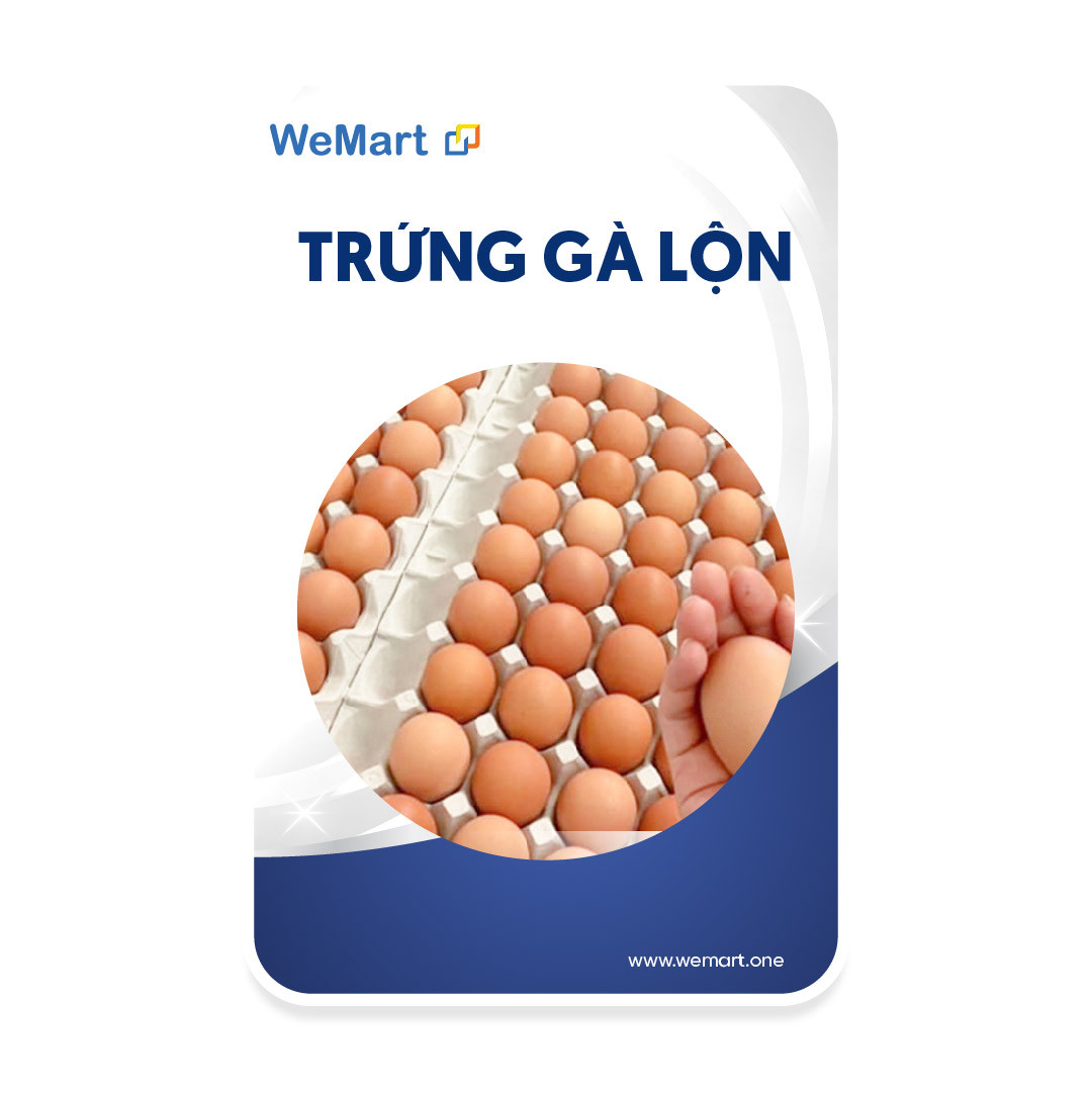 Trứng Gà lộn 12 trứng
