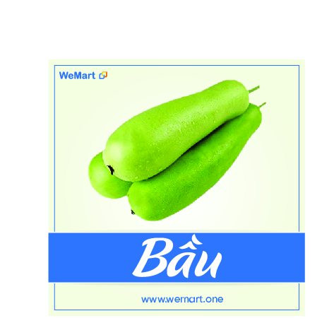 Bầu nhà trồng 7$ 1 trái