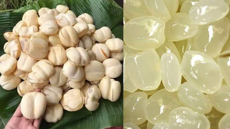 Dừa nước