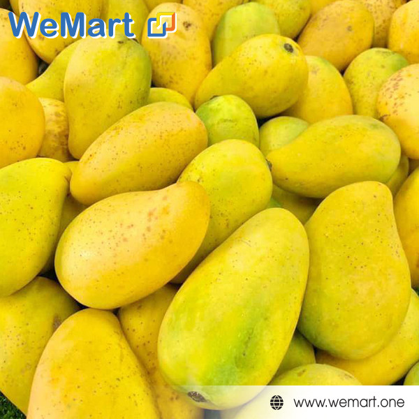 Xoài  chín TPP 80$